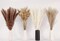 Decorate your home with Dried Pampas Grass, 100 pieces of which include Bunny Tails Dried Flowers and a Reed Grass Bouquet for a rustic farmhouse party or bohemian floral wedding table (white and brown).